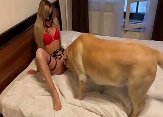 Blonde cam girl shares nude zoophilia with her dog