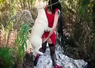 Dog penetrates brunette woman's ass and fucks her in crazy scenes