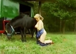 Vintage women sharing their animal sex perversions in a hot compilation