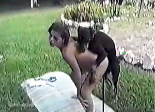 Brazilian slut moans loudly while being fucked by a black doggie