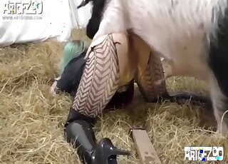 Big ass slut endures heavy pig cock in ruthless XXX perversions