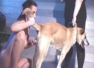 Intense dog porn leads nude amateur woman to swallow cum