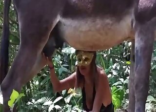 Colossal horse penis is being pleasured perfectly by a zoophile