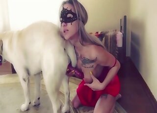 Enjoyable blowjob scene showing a zoophile in sexy black mask