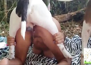 Outdoor fucking scene with a tanned Latina that fucks a dog hard