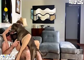 Fixed cam porn movie showing a threesome with the family pet