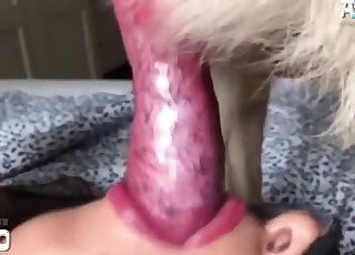 Black mask hottie is deepthroating a white dog's delicious penis