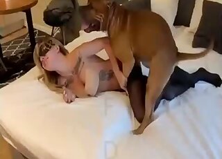 Black stockings hottie is ready to get fucked on all fours by a dog