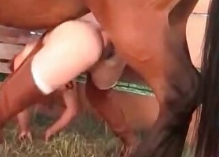 Massive cock of a horse bangs wet twat of an excited zoophile slut