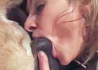 Blond zoophile licks balls of her dog during a naughty XXX bestiality scene