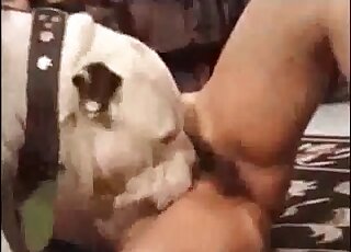 Horny Indian chick gets fucked by an aroused bulldog on the floor