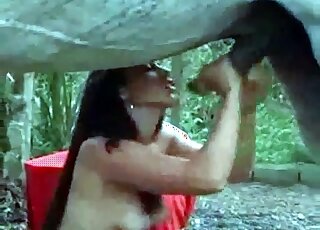 Brunette zoophile chick passionately swallows massive cock of a horse