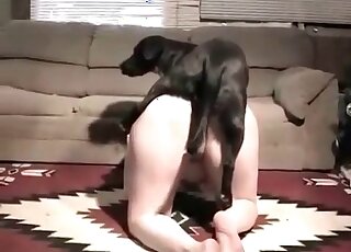Black dog fucks chubby whore at home and gladly cums in her cunt