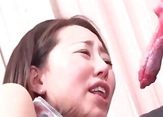 Japanese AV whore tries to suck a dog's pecker in bestiality session