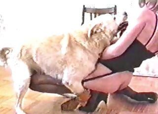 Attractive lady in black stockings is ready to get fucked by a dog