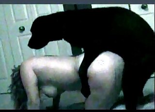 Awesome black dog doggystyle sex compilation with raw fucking