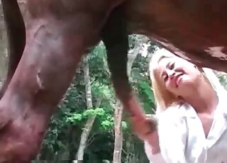 Sexy blond-haired veterinarian sucking on a stallion's massive boner