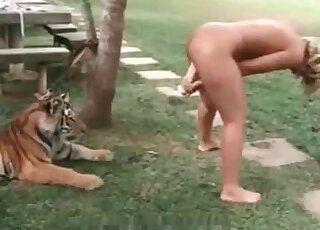 Slutty blonde stuffs a huge dildo in her pussy in front of a tiger