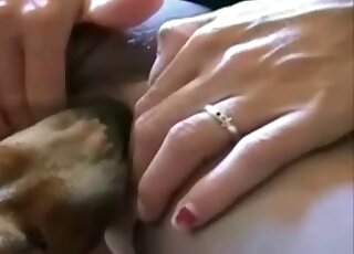 Amazing animal pussy getting fingered in a video with hot closeups