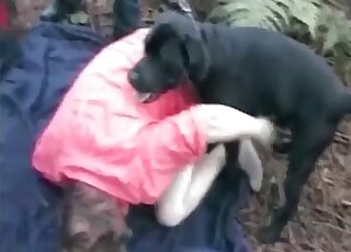 Zoophile dressed in pink fucks a big-dicked dog in an outdoor movie