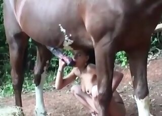 Nasty Asian brunette goes wild while sucking a massive stallion’s dick