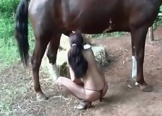 Cum loving lady engulfs huge dong of a stallion in a wild scene