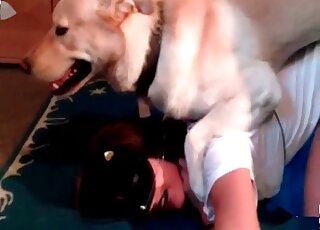 Chick in a mask offers her needy twat to her horny dog
