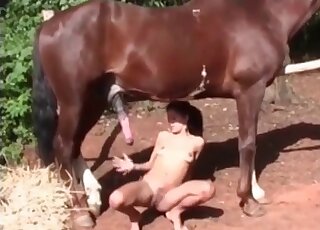 Skilled Latina rides a stallion’s dick and masturbates with a toy