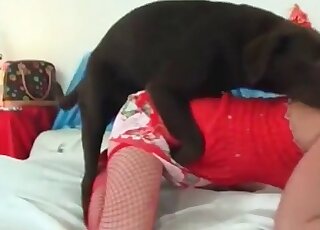Pet dog fucks a weird zoophile cutie in her pink pussy like a rocket
