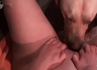 Hot wife gets her shaved snatch licked and hammered by her dog