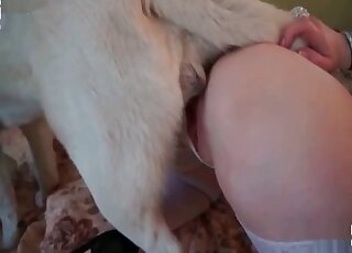 Blonde in white stockings enjoys every inch of cock of her dog in cunt