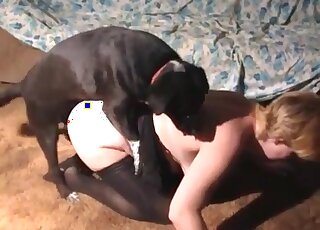 Wild mature slut with a big ass gets screwed by her dog really rough