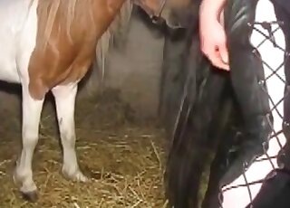 Spoiled whore gets her twat torn apart from behind by a stallion’s cock