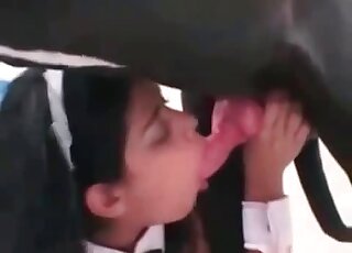 Glamour maid sucks a huge dog’s cock after enjoying zoo fucking