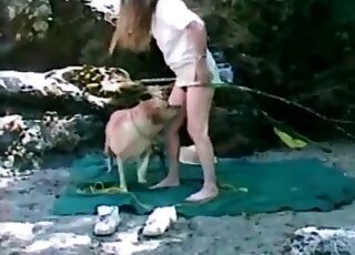 Dog doesn’t mind fucking pussy of a hot sweetie in bestiality porn vid