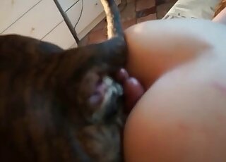 Massive cock of a trained canine makes the horny wife excited