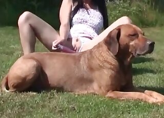 Luscious chick toys her pussy outdoors and gets it sucked by her dog