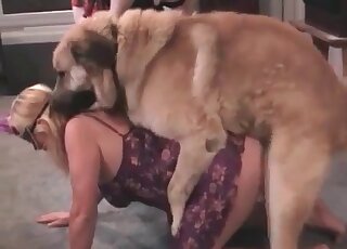 Massive dog finds soaking pussy of a blonde mature perfect for fucking
