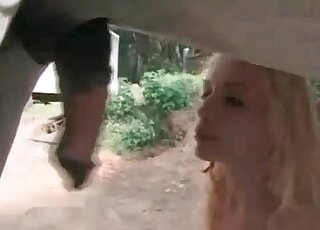 Incredible blowjob by a bitch for an aroused horse outdoors
