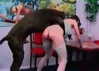 Massive black dog likes fucking tight holes of a cute hottie