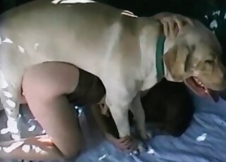 Zoo slut gives her juicy pussy to a dog and gets drilled doggy fashion