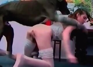 Маленькая худенькая секс-кукла получает удар по своей узкой киске от члена собаки