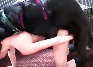 Insatiable bitch fucks like a whore with her dog and sucks its dick