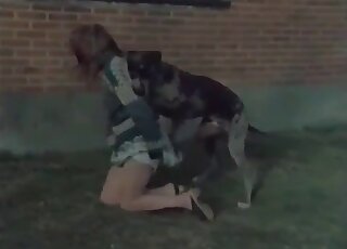 Strong dog fucks a hot wife outdoors without getting exhausted