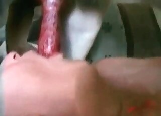 Awesome slut opens her filthy mouth wide to deepthroat her dog’s dick