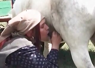 White horse's thick shaft gets sucked by a naughty babe outdoors