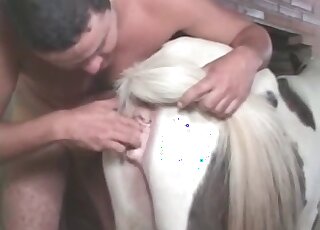 Zoo pervert licks and fists a horse’s pussy in a hot animal porno