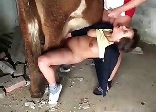 Perverted couple made a horse join their nasty zoo porn threesome