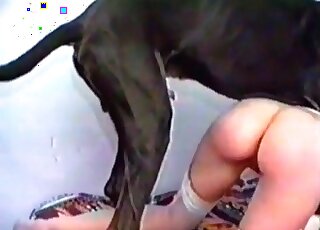 Massive black dog rips tight pussy of a hot mature woman