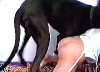 Massive black dog rips tight pussy of a hot mature woman